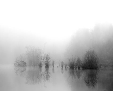 Misty River Silence No1