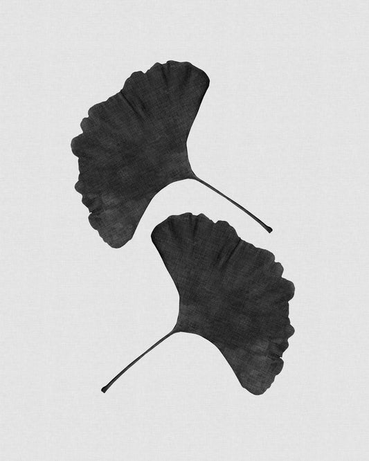Black Ginkgo Leaves