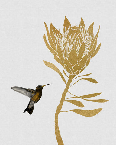 Hummingbird Gold Bloom