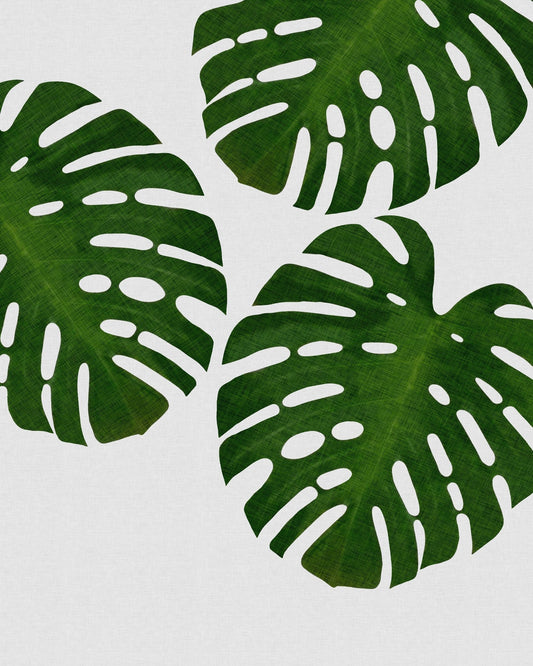 Green Monstera Leaves