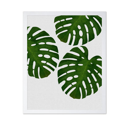 Green Monstera Leaves