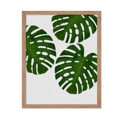 Green Monstera Leaves
