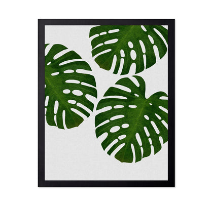 Green Monstera Leaves