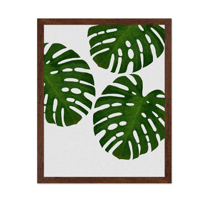 Green Monstera Leaves