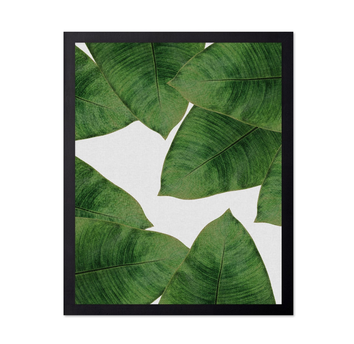 Green Banana Leaves