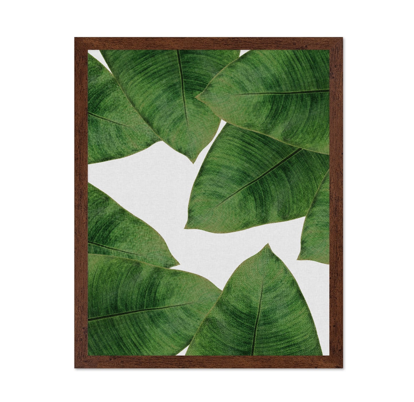Green Banana Leaves