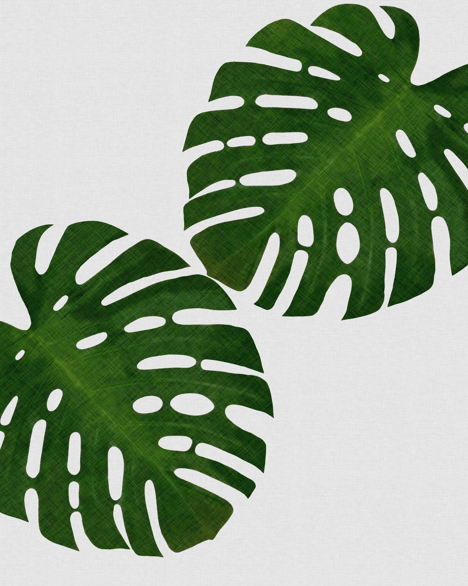 Monstera Leaf Pair