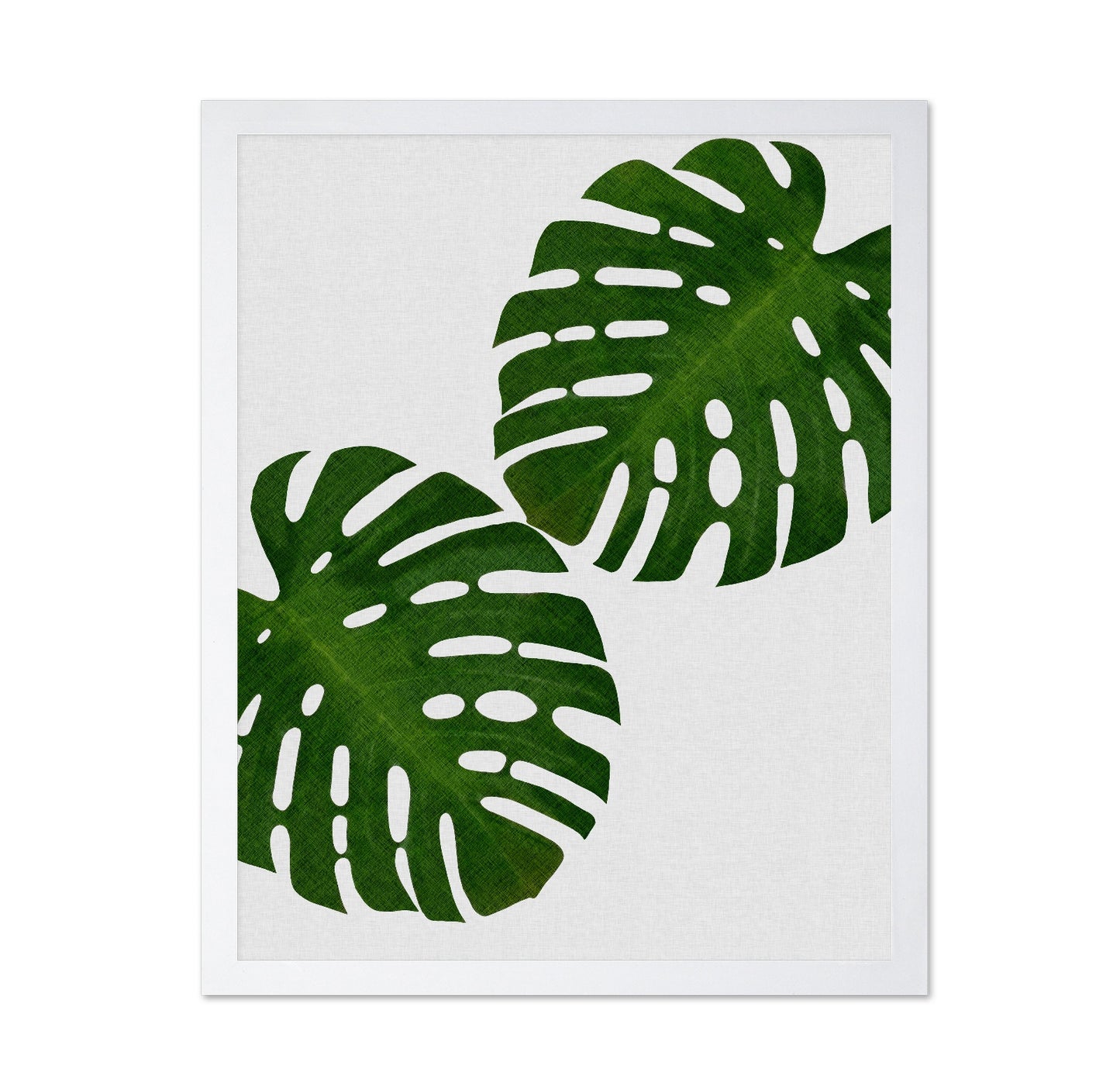 Monstera Leaf Pair