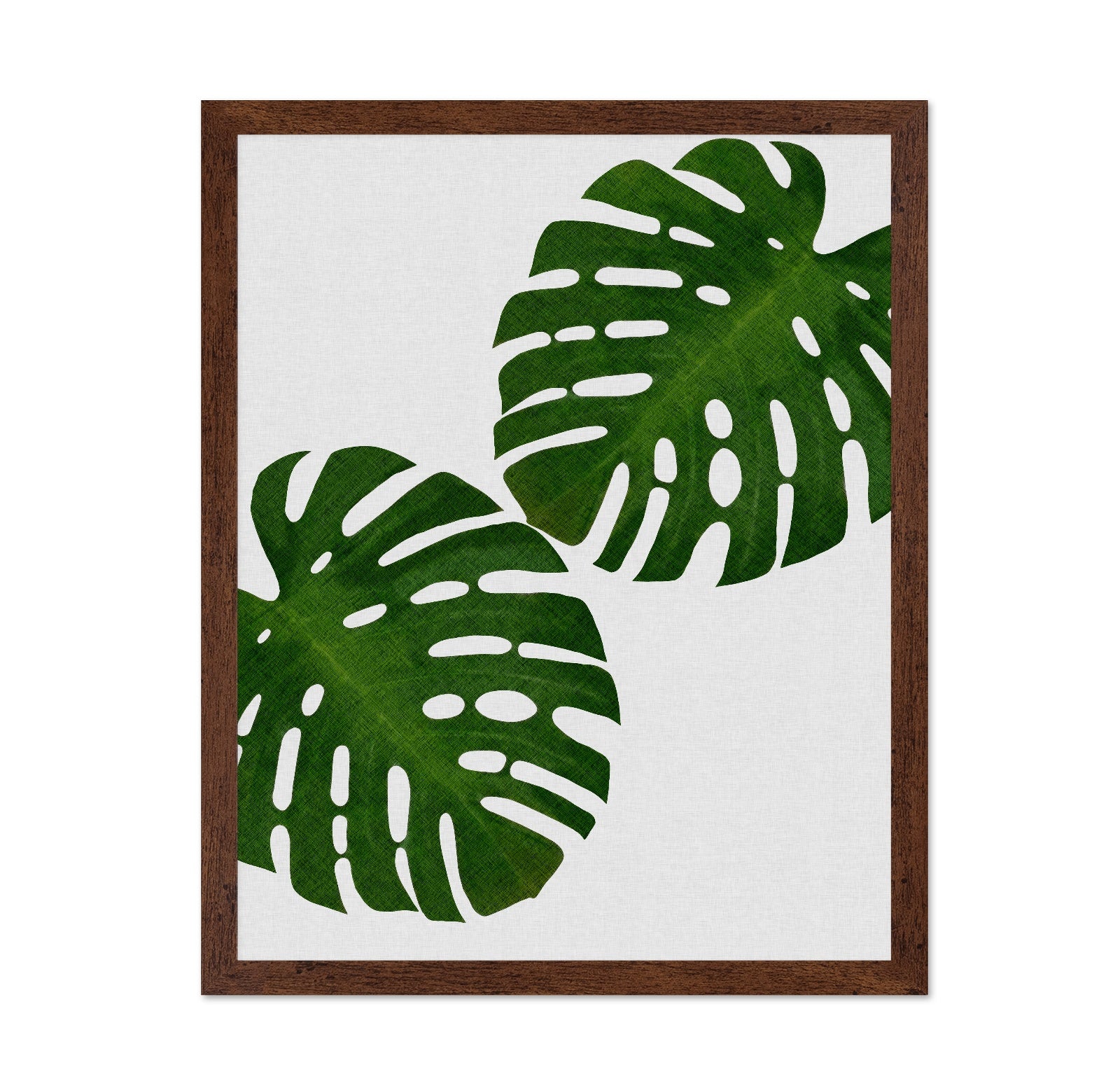 Monstera Leaf Pair
