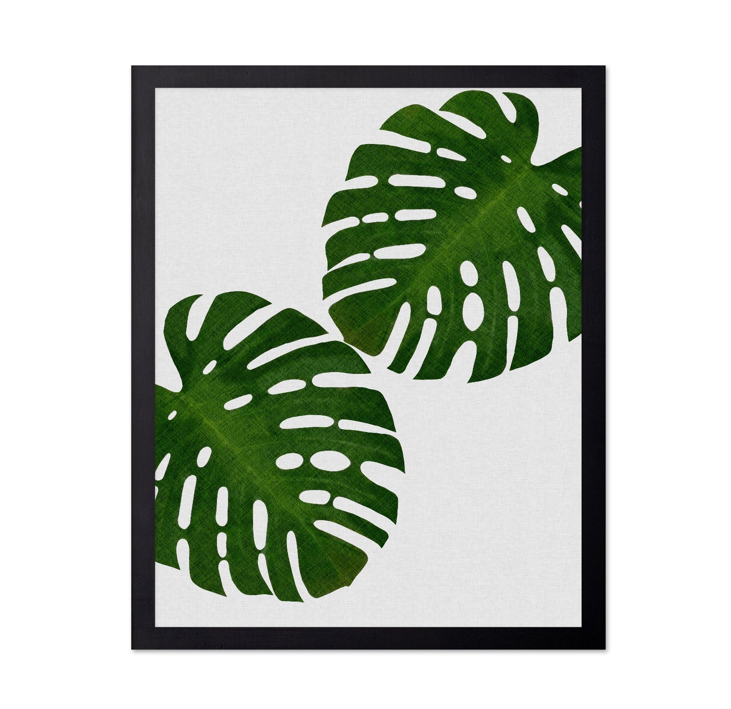 Monstera Leaf Pair