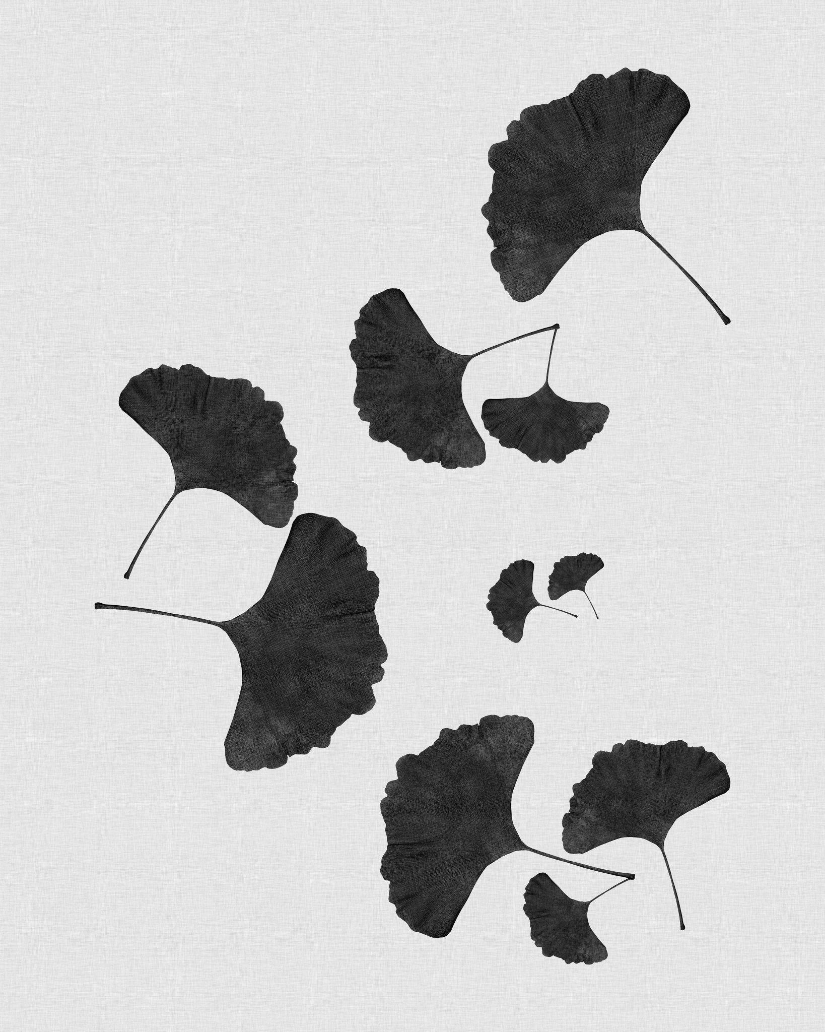 Black Ginkgo Cluster