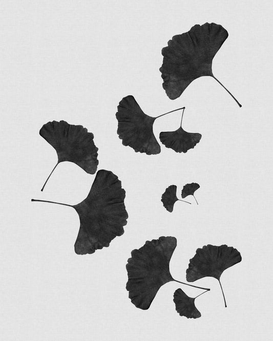 Black Ginkgo Cluster