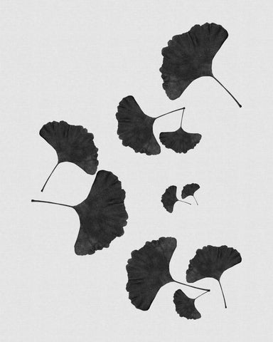 Black Ginkgo Cluster