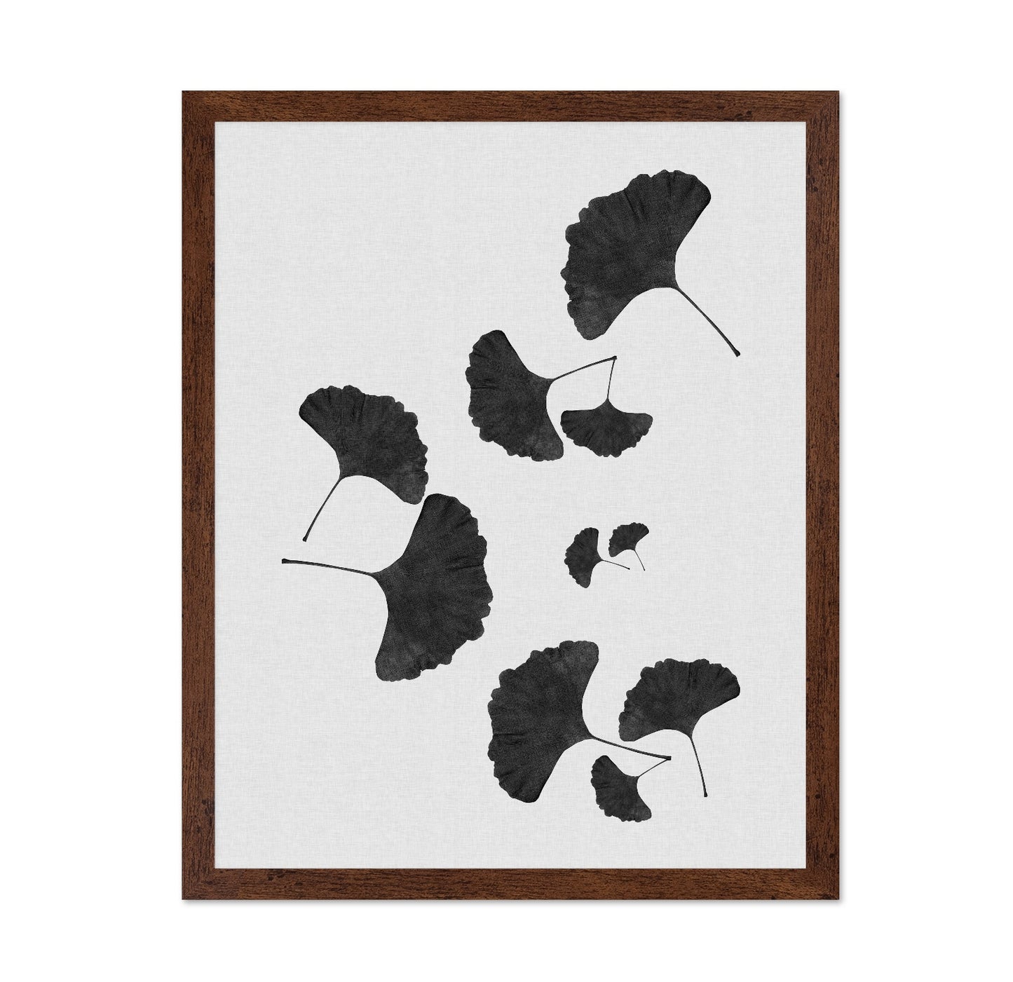 Black Ginkgo Cluster
