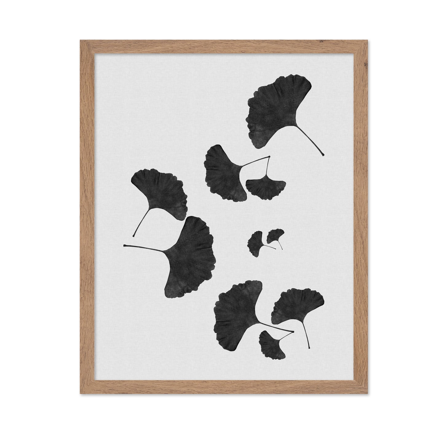 Black Ginkgo Cluster