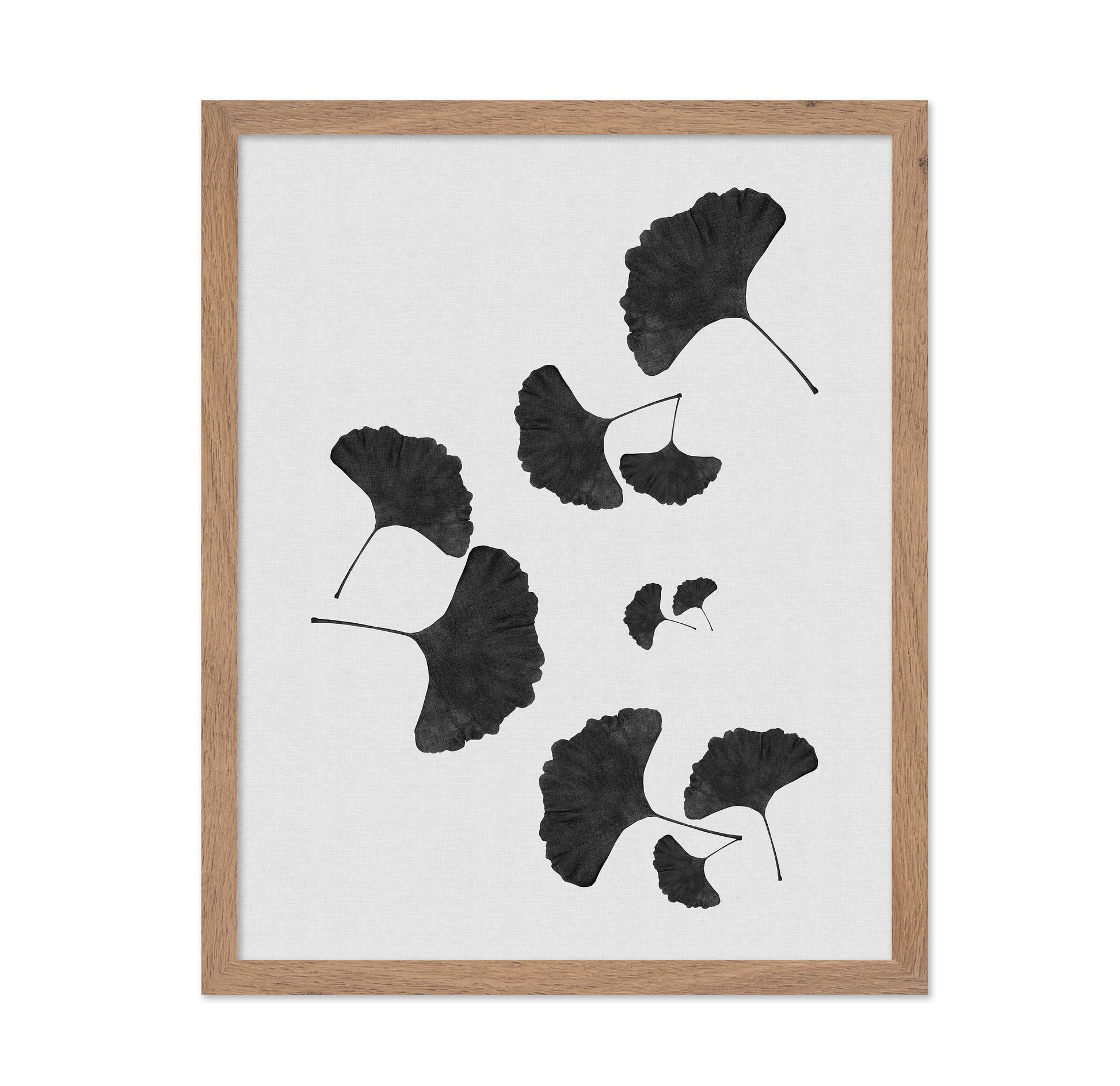 Black Ginkgo Cluster