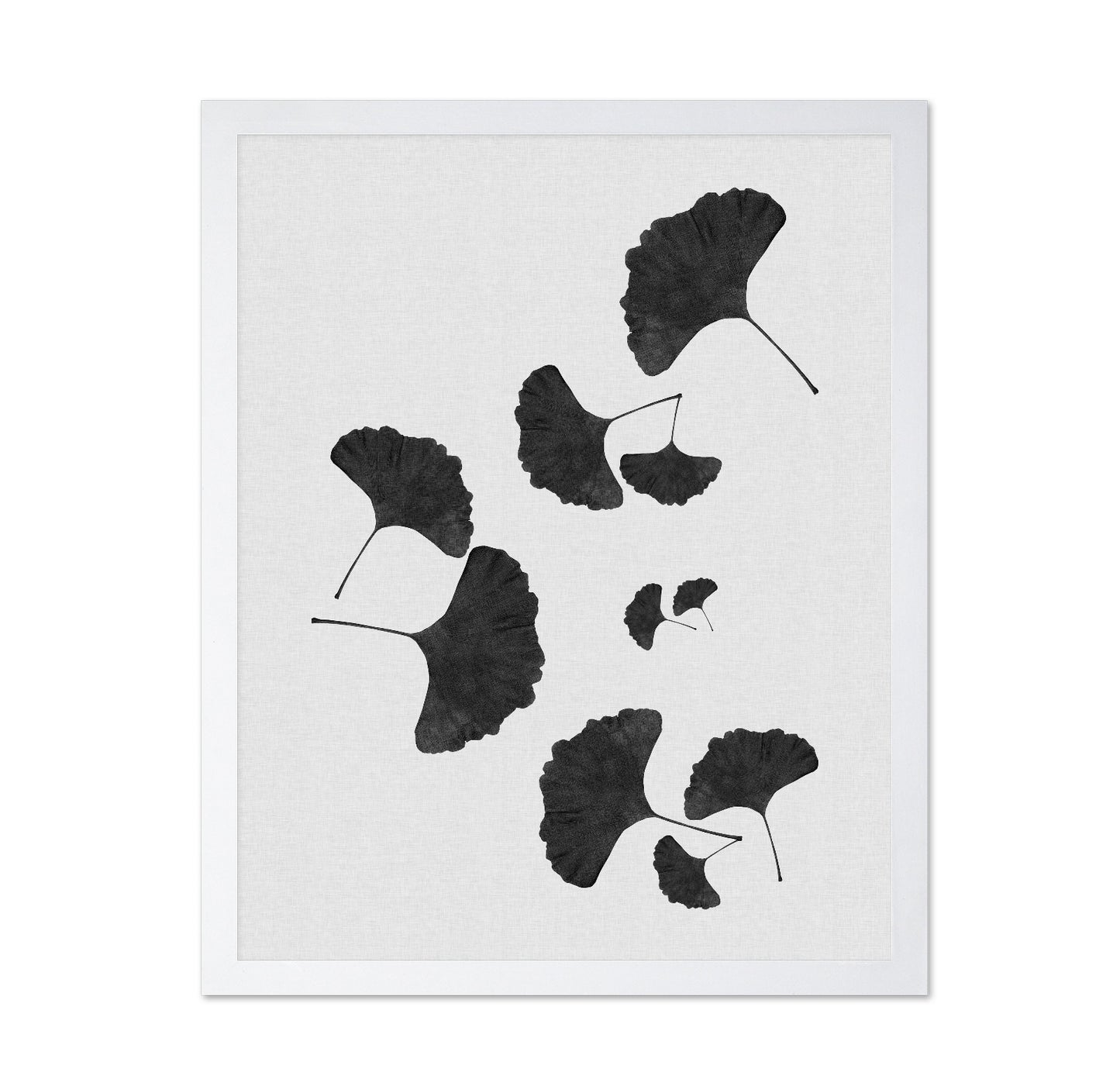 Black Ginkgo Cluster