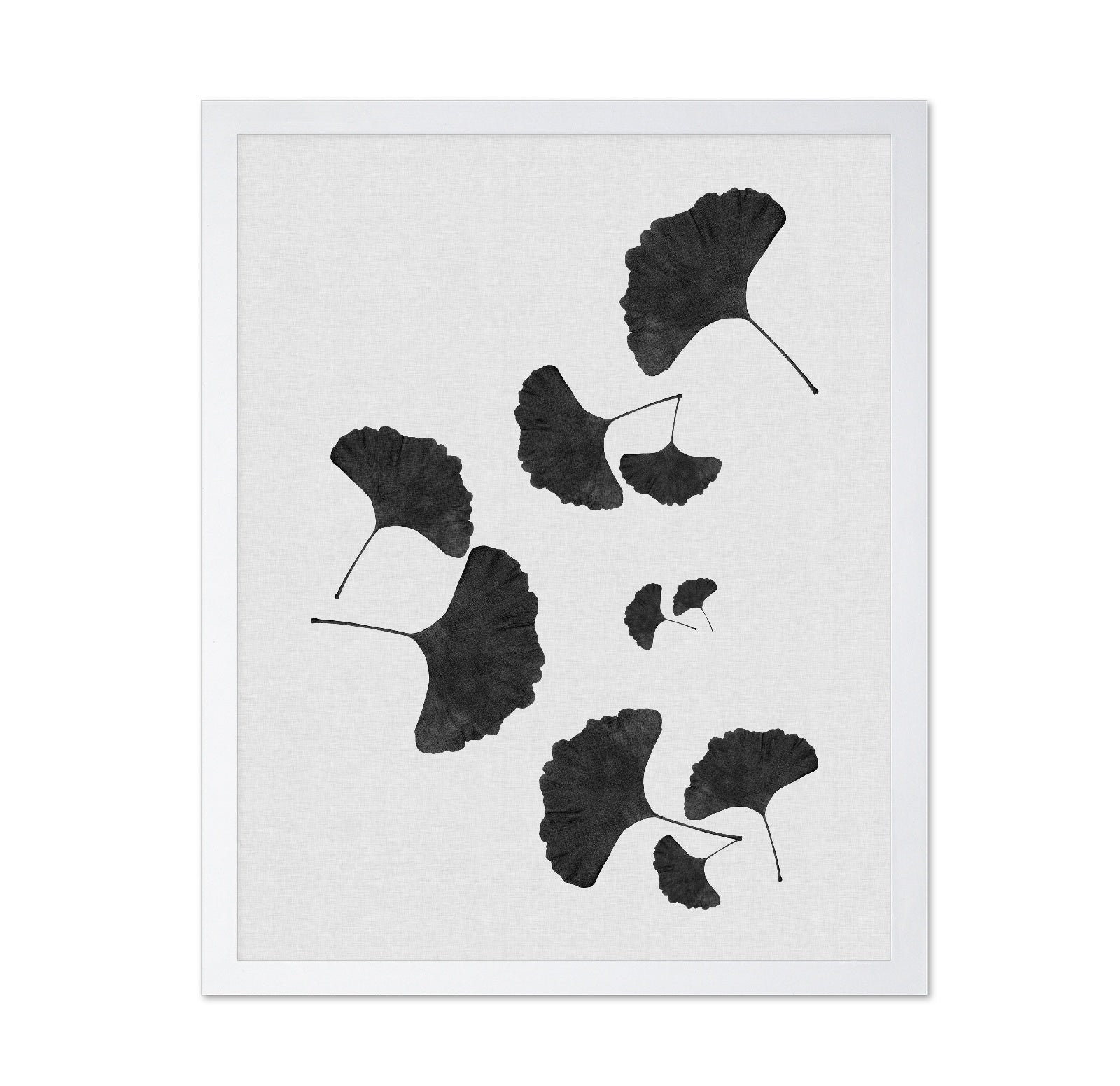 Black Ginkgo Cluster