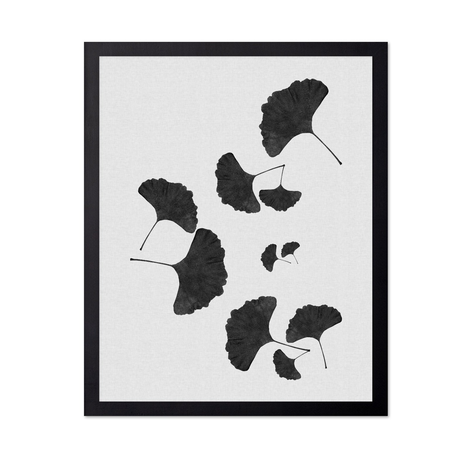 Black Ginkgo Cluster
