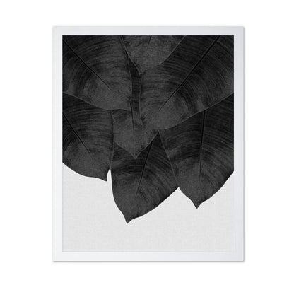 Black Banana Leaves