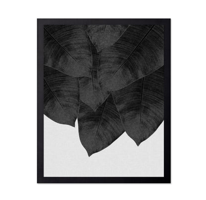 Black Banana Leaves