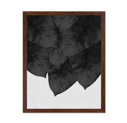 Black Banana Leaves