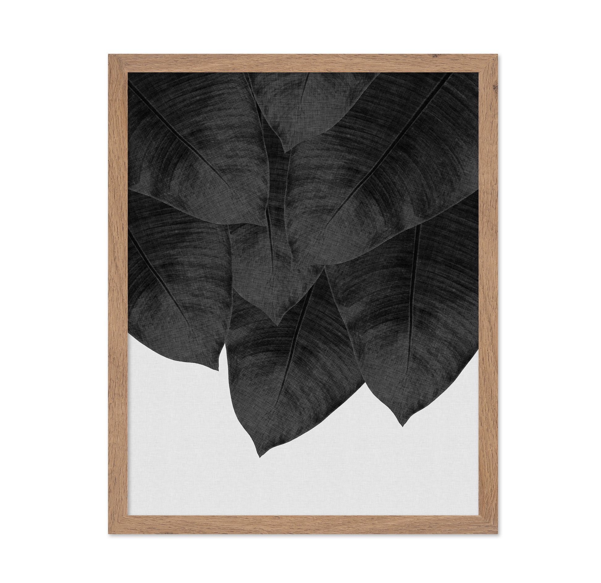Black Banana Leaves