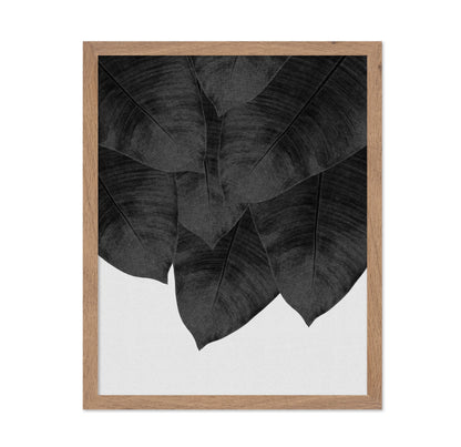 Black Banana Leaves