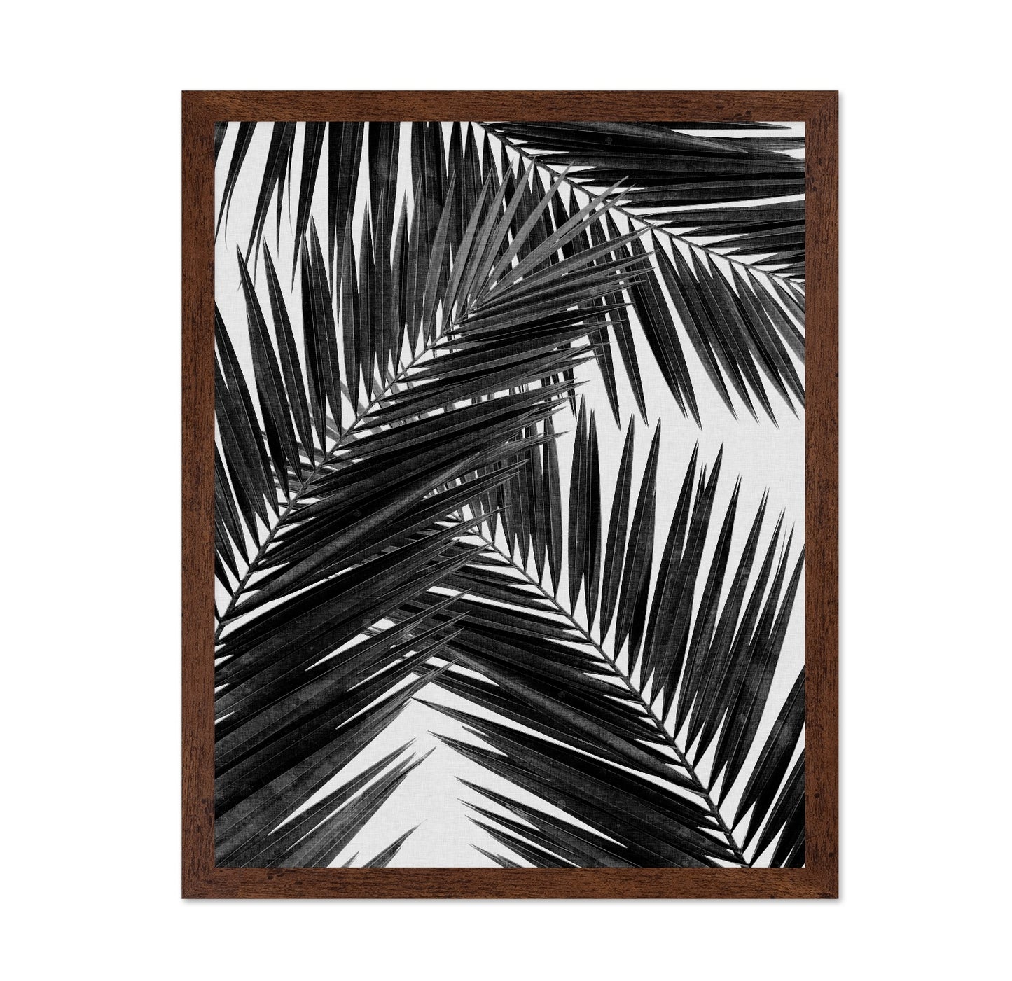 Black Palm Leaves