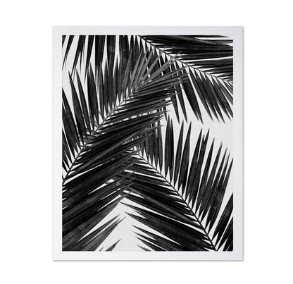 Black Palm Leaves