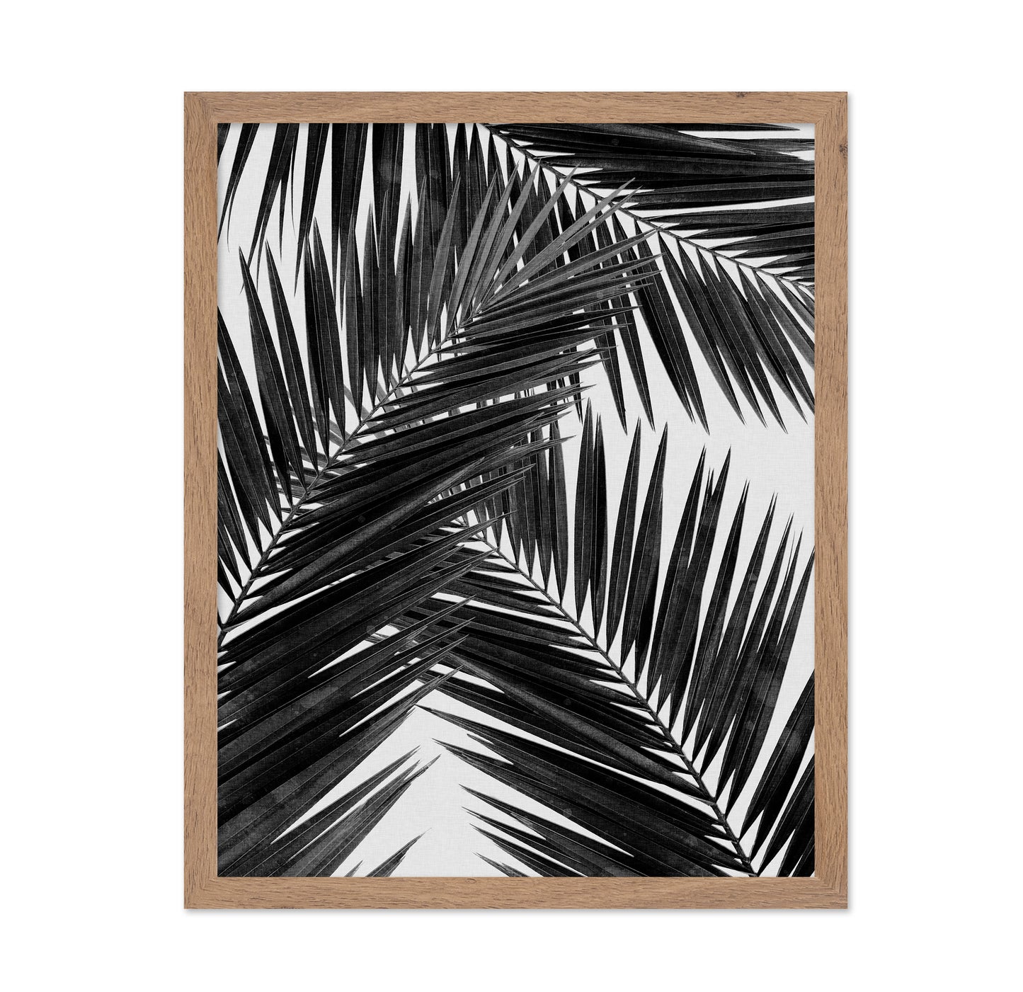 Black Palm Leaves