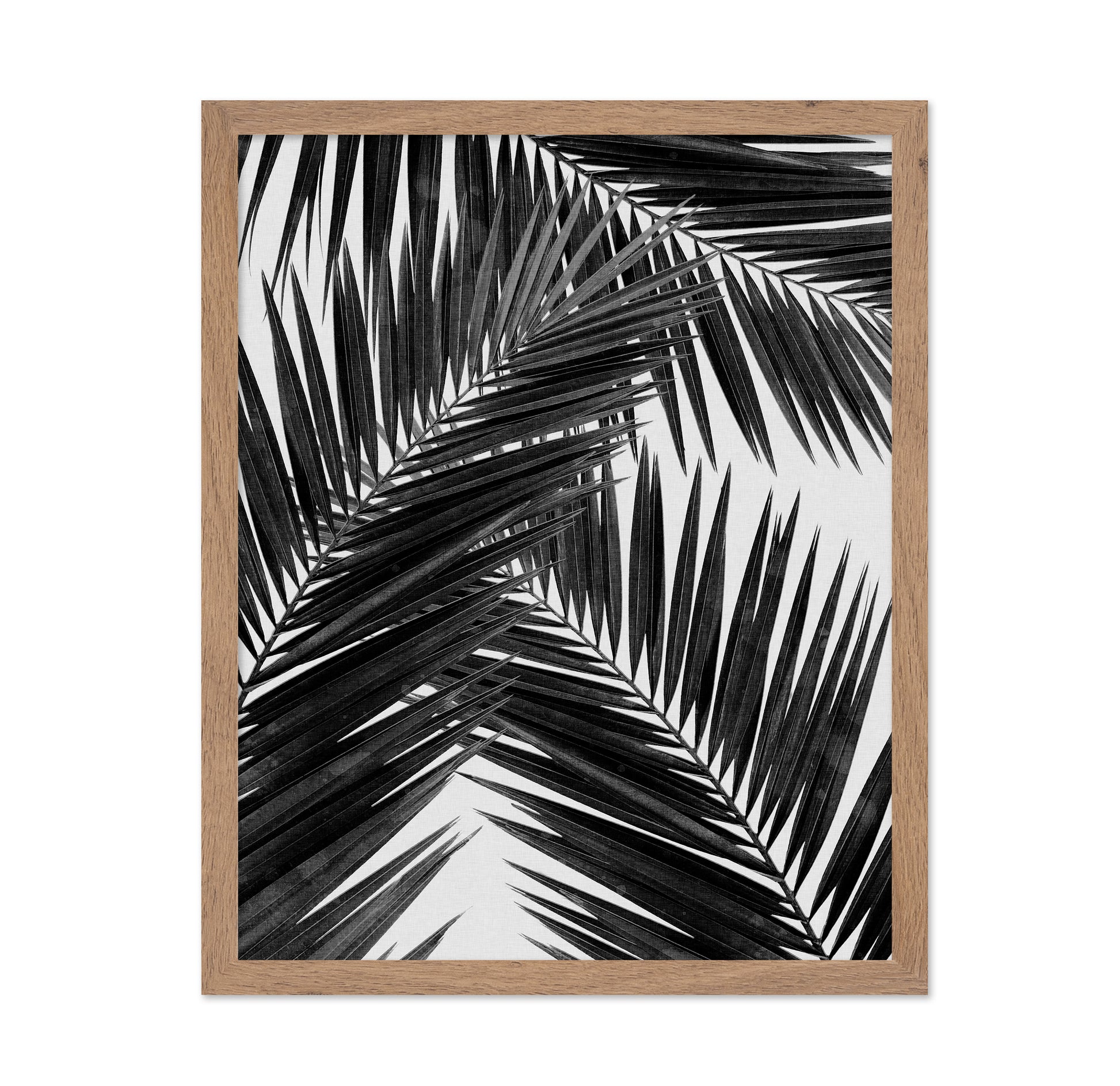 Black Palm Leaves