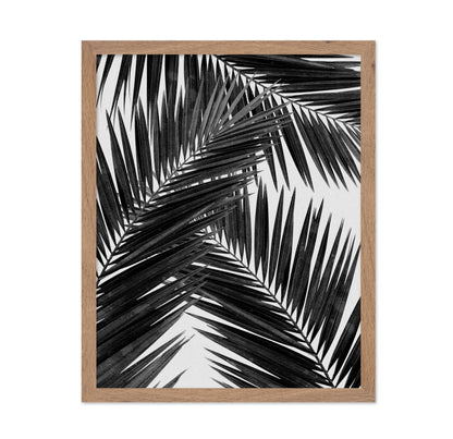 Black Palm Leaves