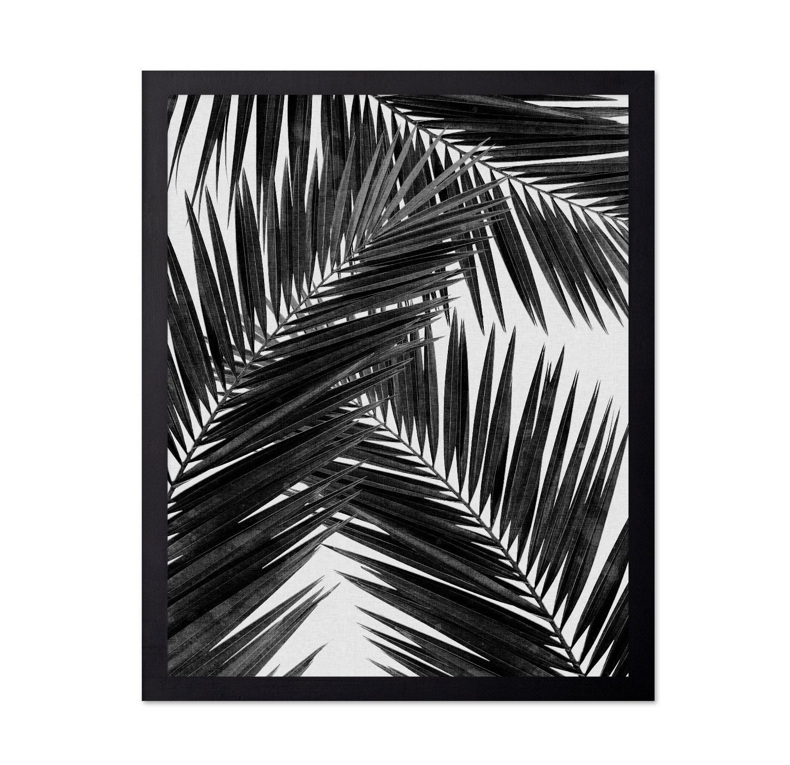 Black Palm Leaves