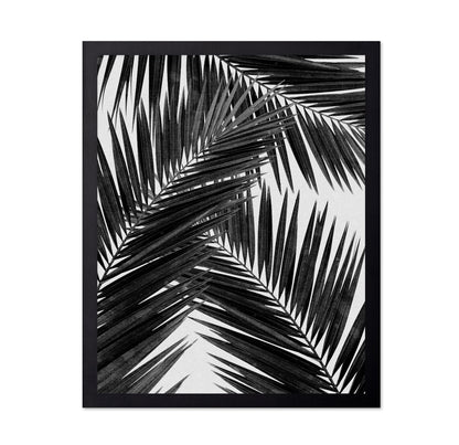 Black Palm Leaves