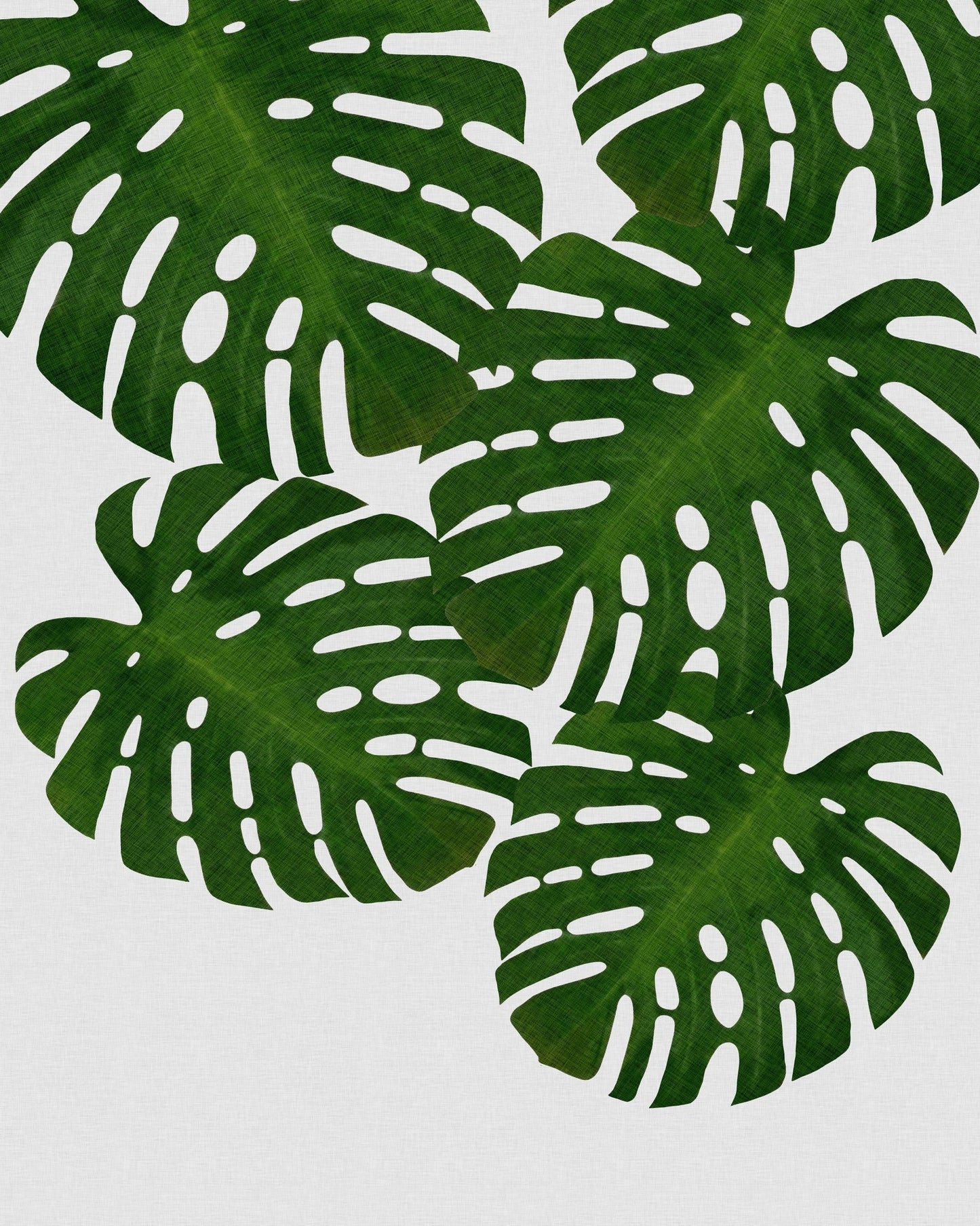 Monstera Leaves No1