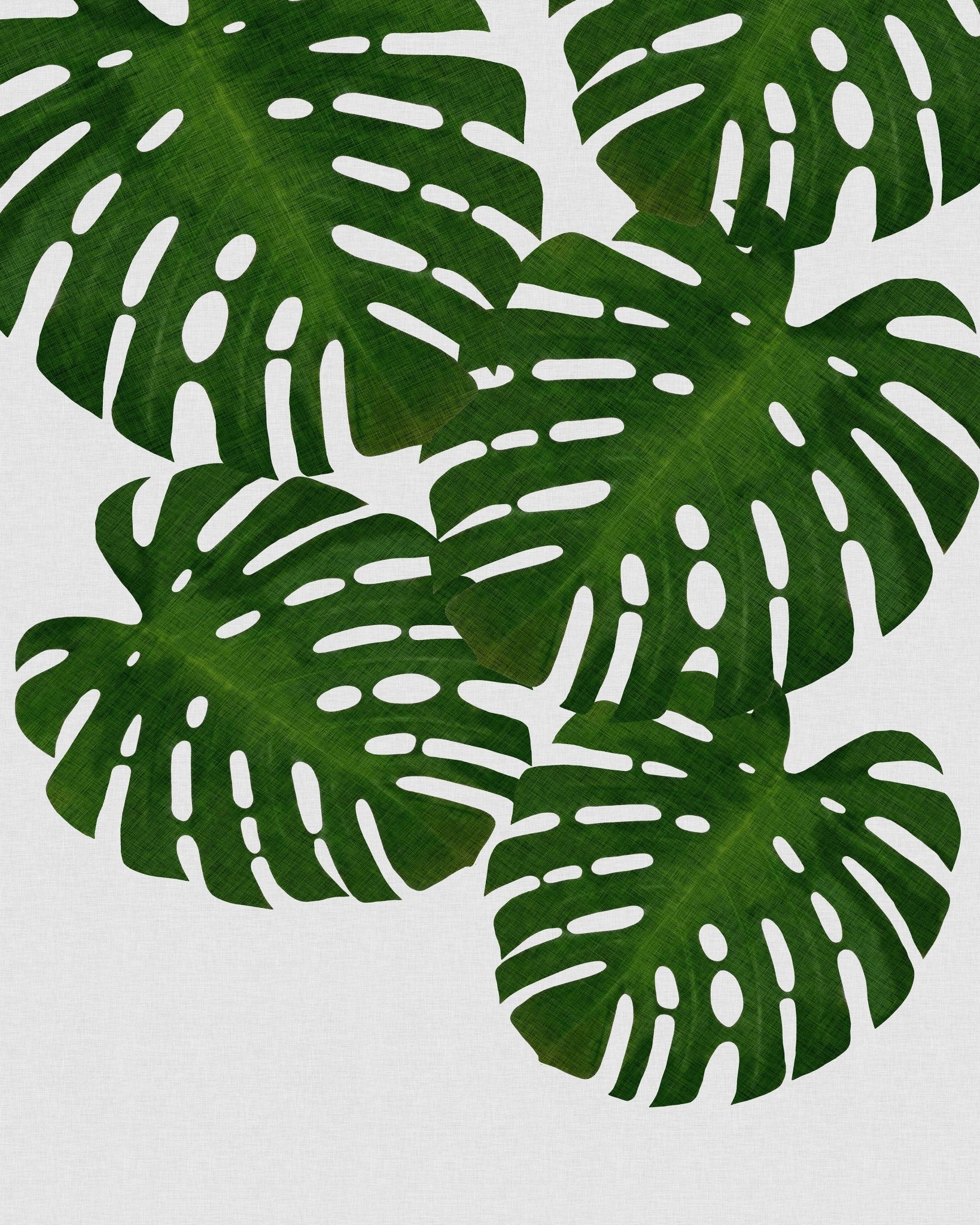 Monstera Leaves No1