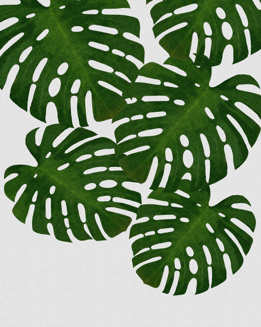 Monstera Leaves No1