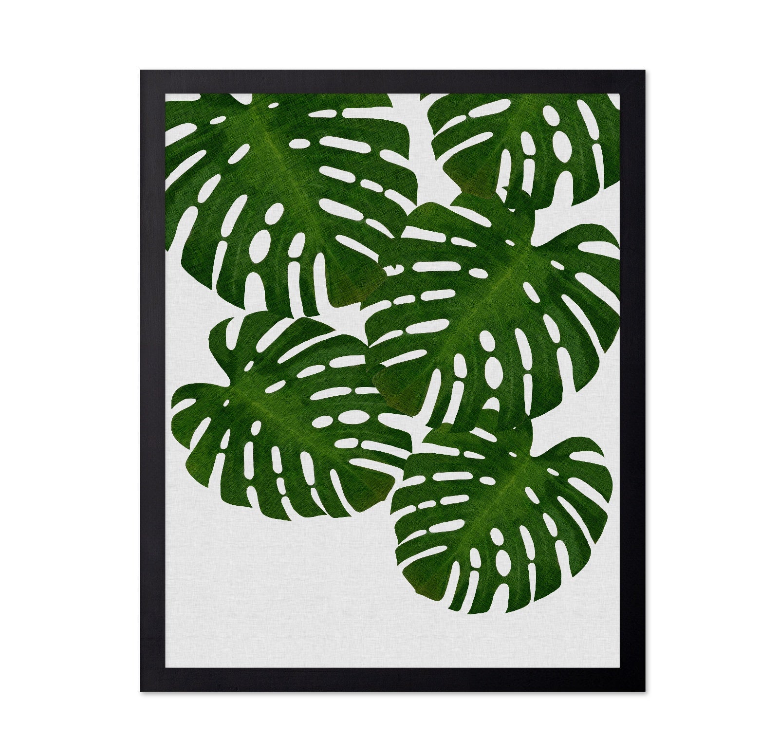 Monstera Leaves No1