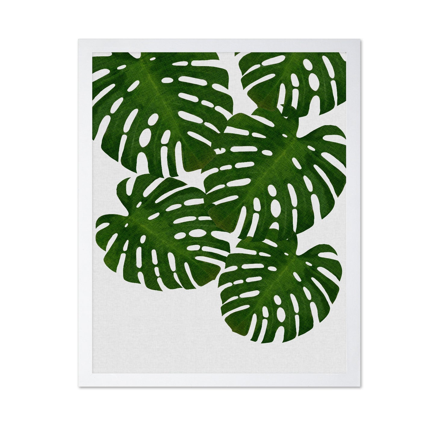 Monstera Leaves No1