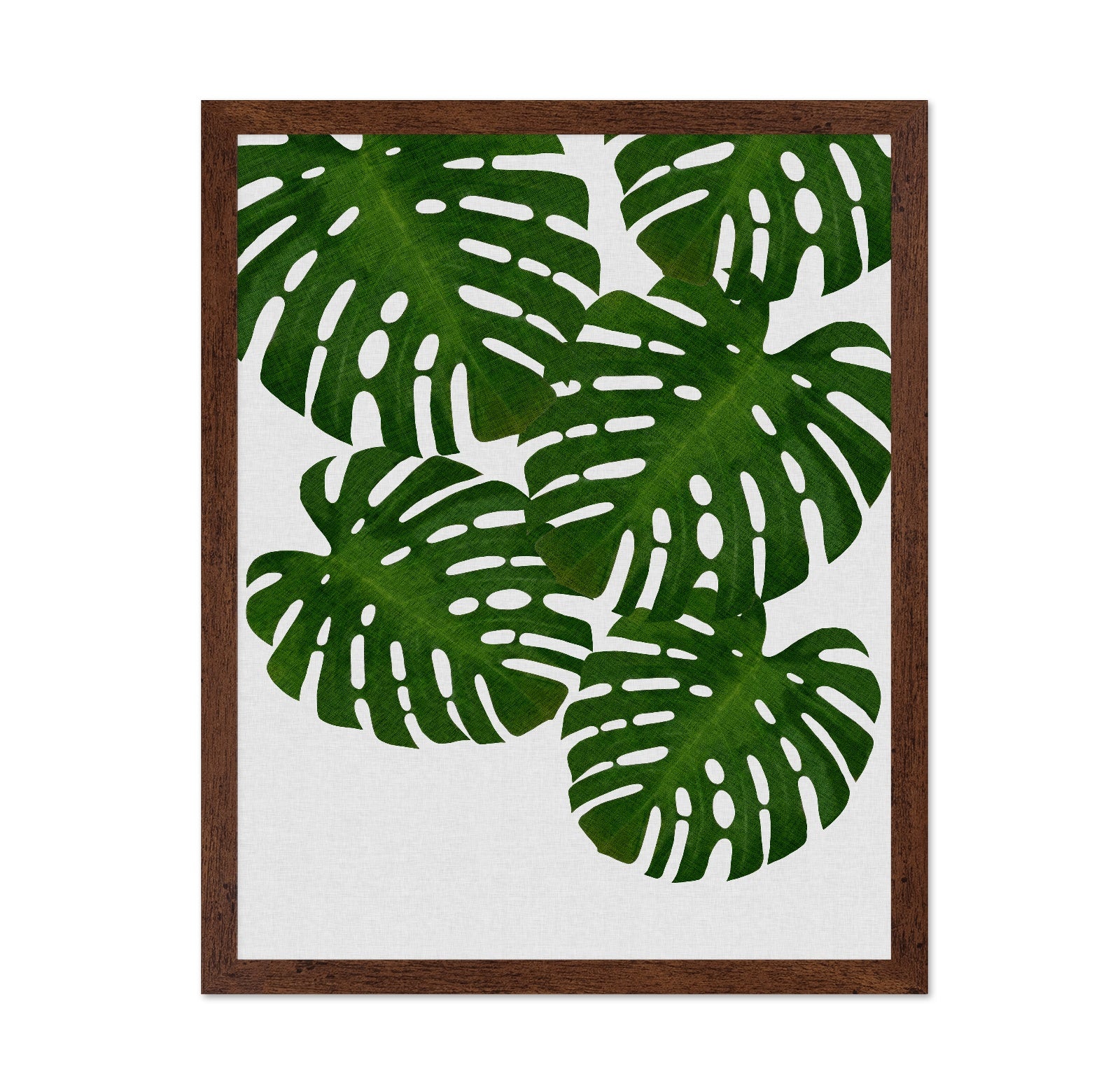 Monstera Leaves No1