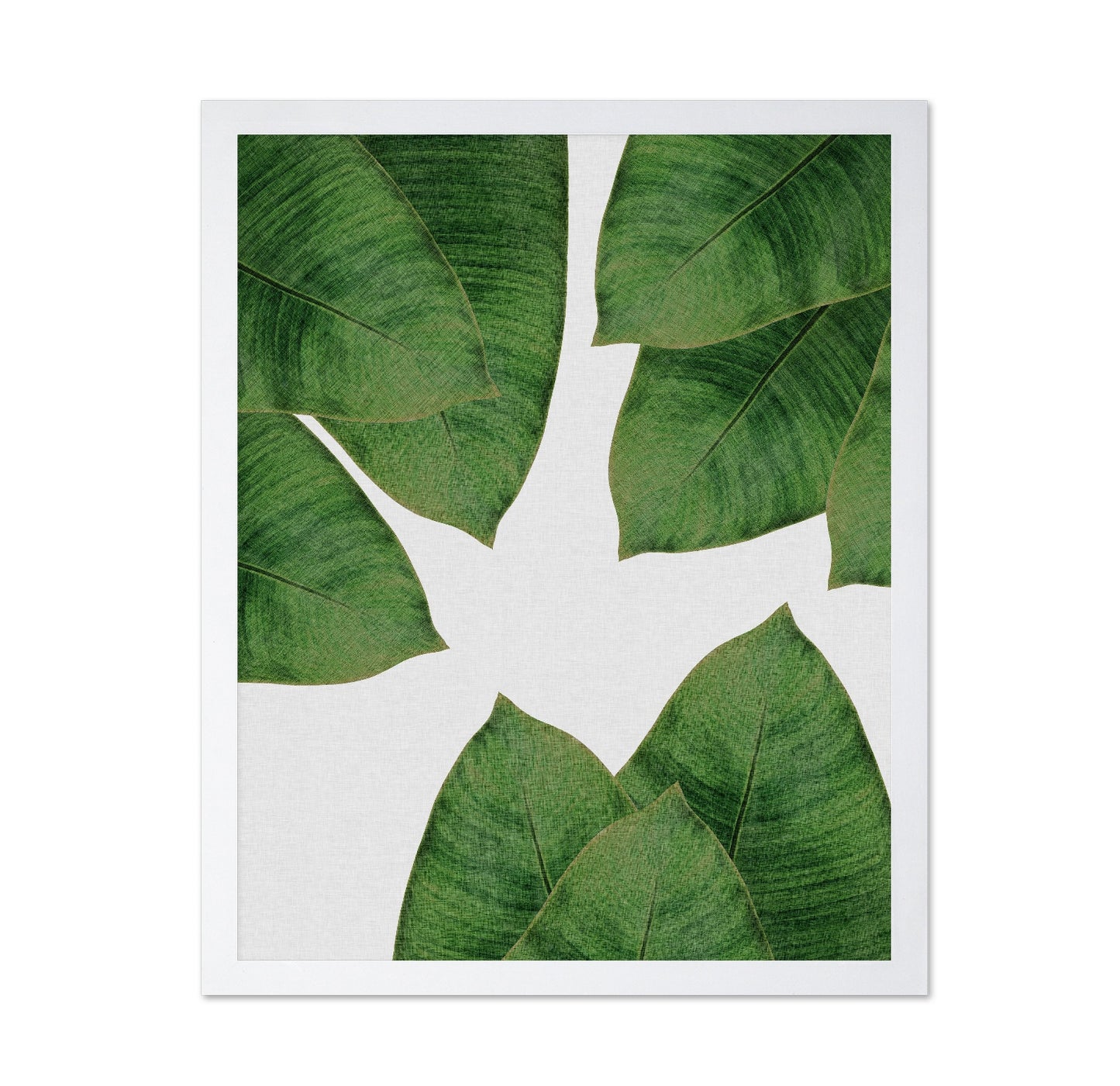 Banana Leaves