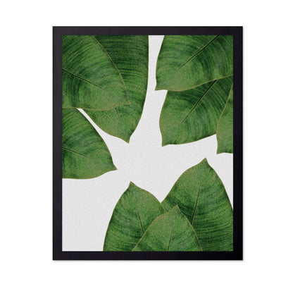 Banana Leaves