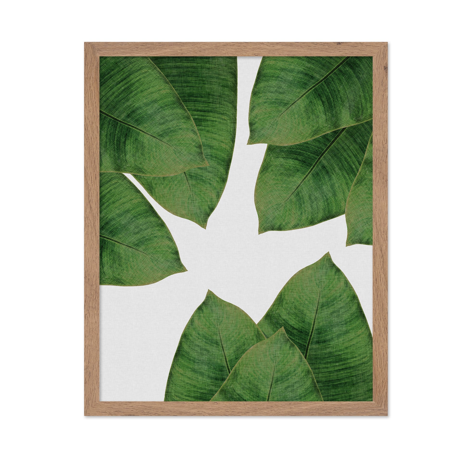 Banana Leaves