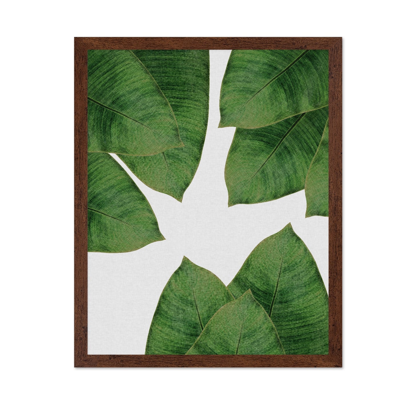 Banana Leaves