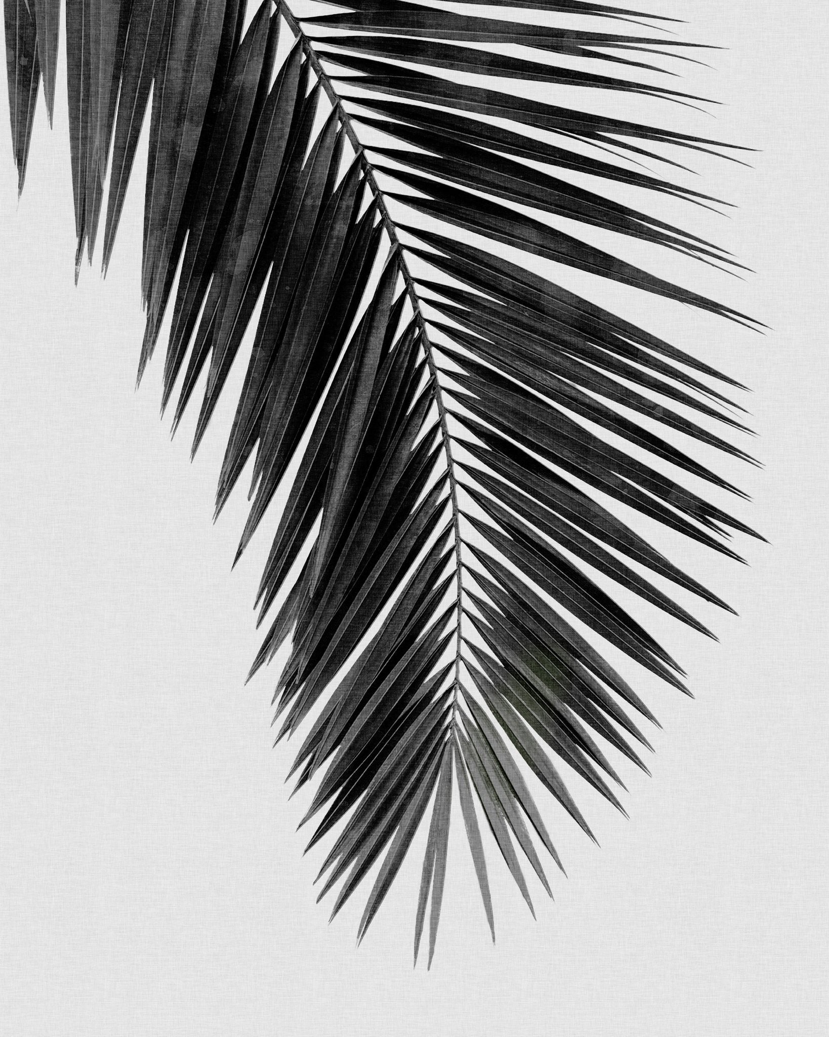 Palm Leaf Black