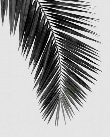 Palm Leaf Black