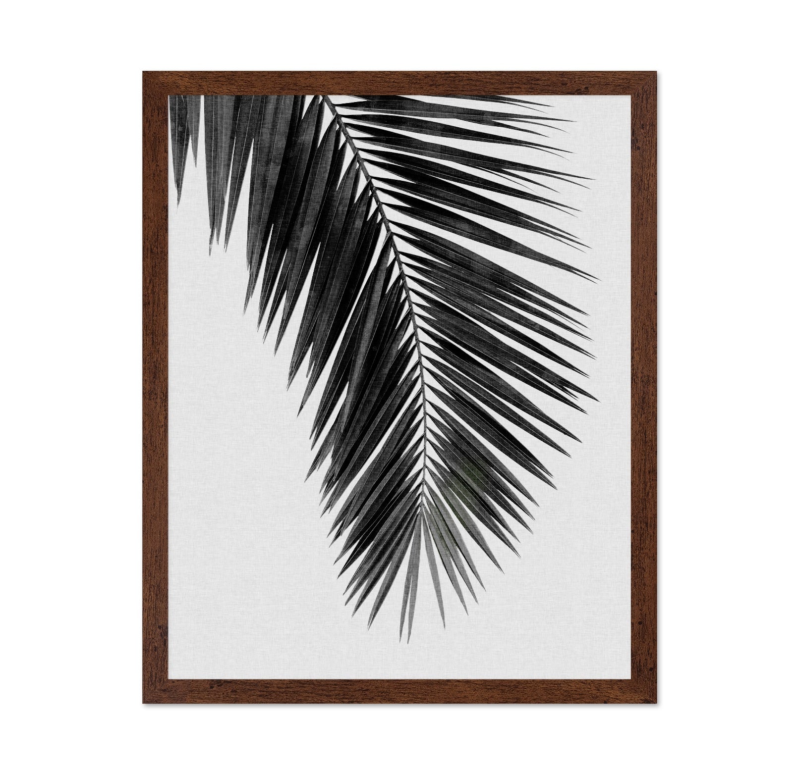 Palm Leaf Black