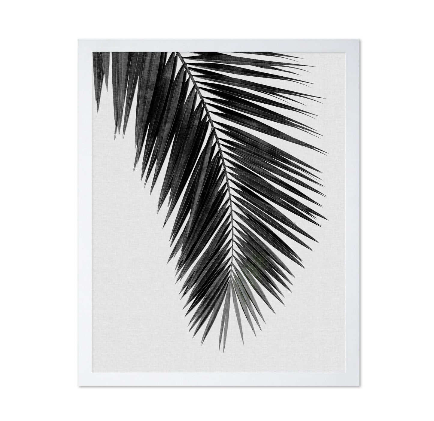 Palm Leaf Black
