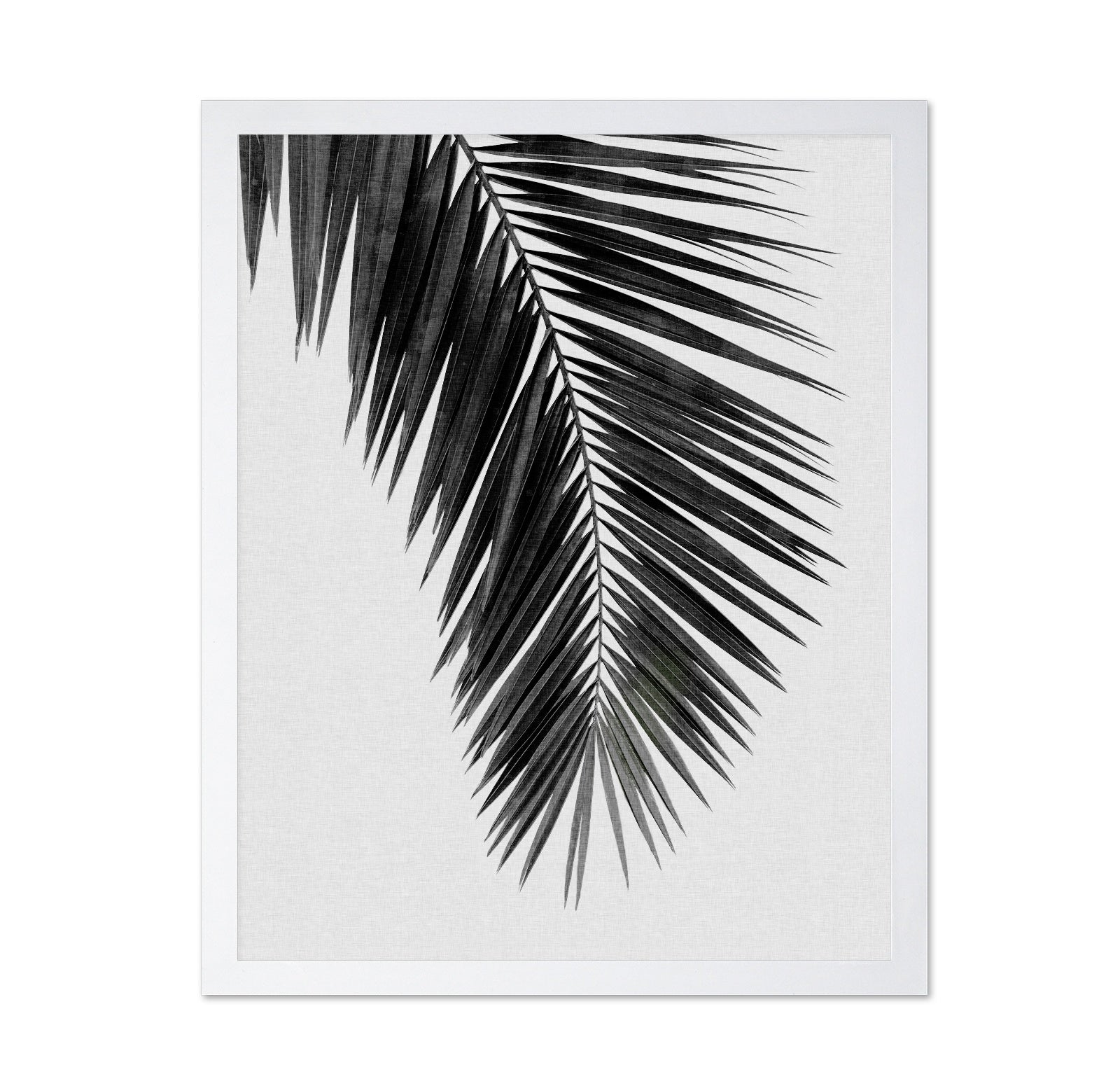 Palm Leaf Black